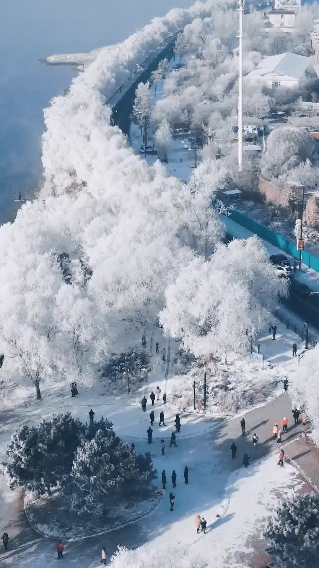 吉林，邂逅自然的温柔之地