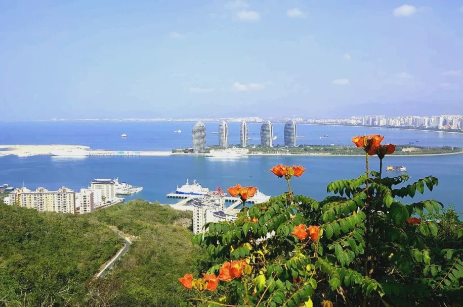 椰风海韵，海南阳光日记里的温馨日常纪实